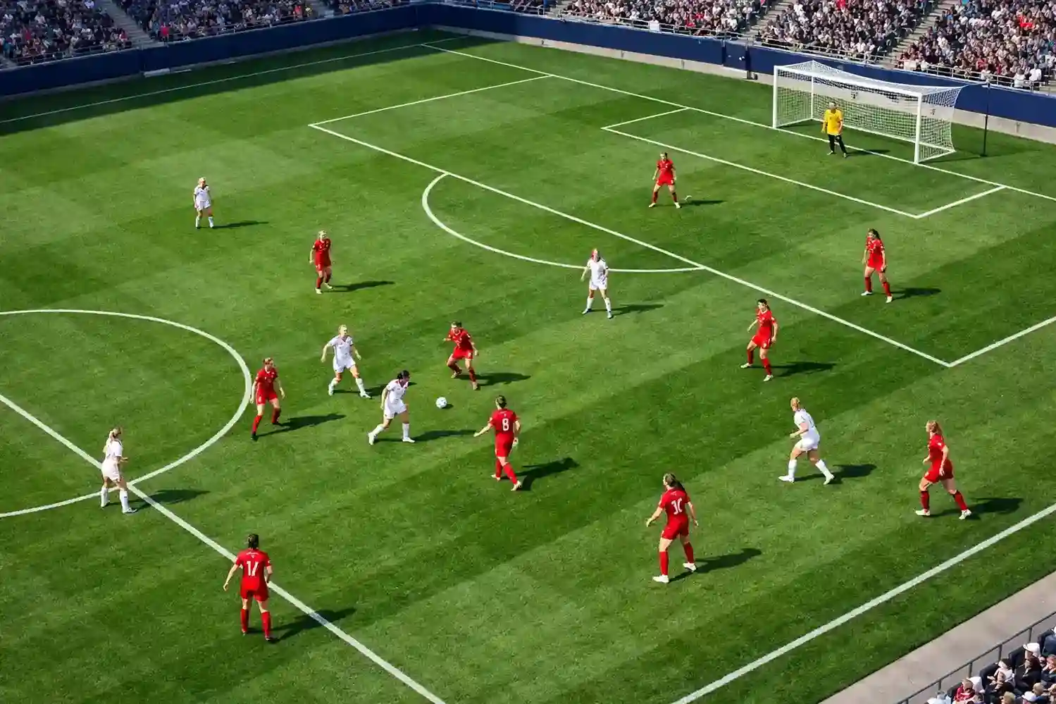 Frauenfußball Statistiken